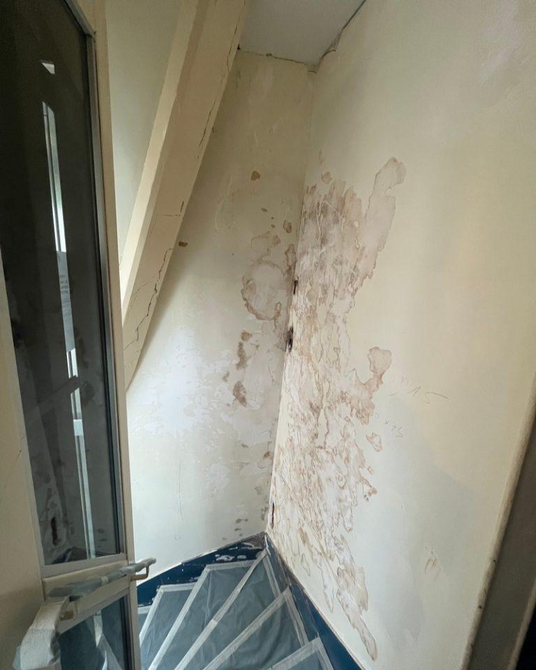 renovation-copro-parisienne6